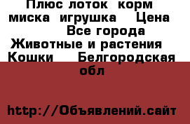 Плюс лоток, корм, миска, игрушка. › Цена ­ 50 - Все города Животные и растения » Кошки   . Белгородская обл.